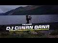 Download Lagu DJ Ciinan Bana - Fauzana Remix Lagu Minang Slow Bass