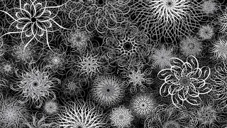 PsyChedelicDaniel ॐ Goa Set 2019 סט גואה 2019 ॐ Out Now 