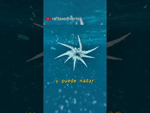 Como DOMESTICAR al KRAKEN 🐙