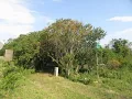 Vacant Land For Sale in Bathurst Eastern Cape South Africa for ZAR 195 000