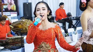 Download TAYUP SARAGENAN | NGUDANG ANAK OREK OREK KANGENING ATI - CAMPURSARI SRAGENAN COKEK MANIA MP3