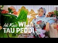 Download Lagu Idi Kasi Wija Tau Peddi - Fitri Adiba Bilqis || Karya Emmu Leo Star (Dipopulerkan oleh Ervina Fitri)