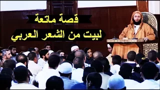 قصة ماتعة لبيت من الشعر كاد أن يقتل صاحبه مجالس التفسير 