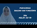Download Lagu Pancaindra, Bagian, dan Fungsinya | IPA Kelas 3 SD