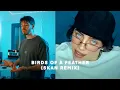 Birds of a Feather (SKAN Remix)