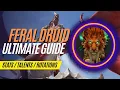 Ultimate Feral Druid Dragonflight Guide Stats Talents Rotations