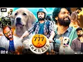 Lagu 777 Charlie Full Movie In Hindi Dubbed | Rakshit Shetty | Sangeetha | Bobby Simha | Review \u0026 Facts
