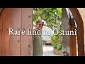 Download Lagu Droomhuis in Ostuni 🇮🇹 Historisch pand met 3 slaapkamers en uitzicht op het dak in Puglia!