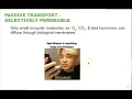 Chapter 5 Structure and Function of Plasma Membranes
