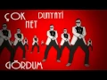 Hamsi STYLE | HD |