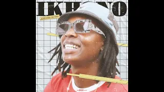 scoobysteeze u0026 tex p ikhono ft young stunna