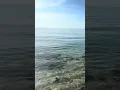 Lauderdale By The Sea - Beach Report Perfect day for snorkeling