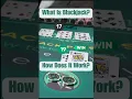 Blackjack 101 How Do You Play