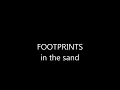 FOOTPRINTS IN THE SAND with lyrics  by(the Voltaire)