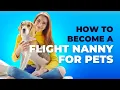 How to Become a Flight Nanny for Pets Ensuring Safe Pet Travels