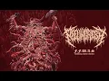 PEELINGFLESH - F.F.W.A.S. (Official Stream)