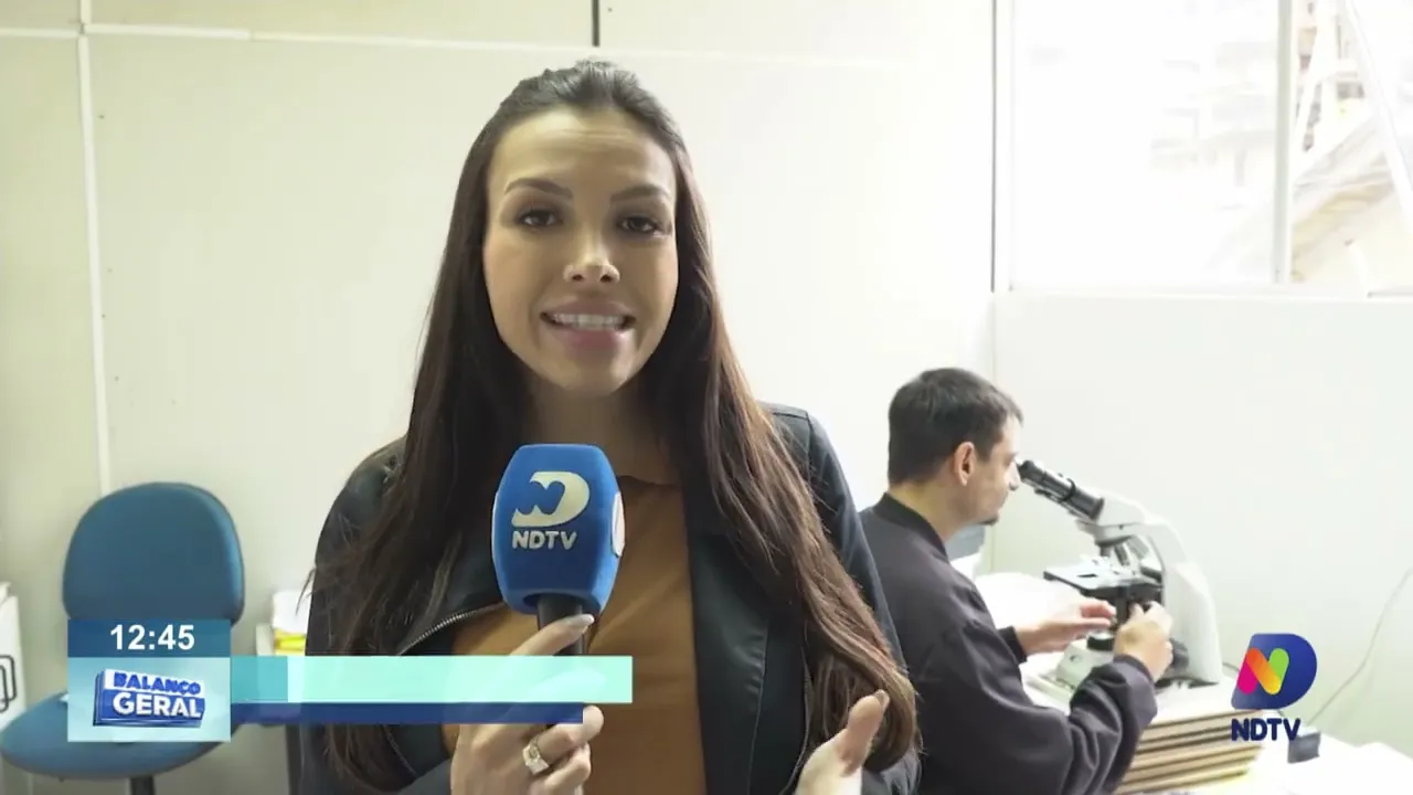 Quatro municípios do Alto Vale estão infestados pelo mosquito da dengue