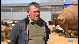 «Сибирский характер», эфир от 2 мая 2023 года