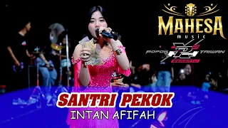 santri pekok intan afifah mahesa music popoh x taiwan bersatu srikaton kayen pati