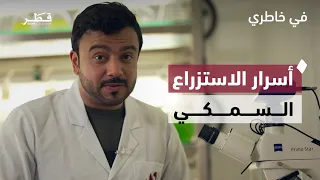 من البيضة إلى البحر.. رحلة استزراع الأسماك وإثراء المخزون السمكي في قطر | في خاطري