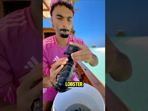Lobster Ini Jadi Kameramen Bawah Laut⁉️😱🤯😎#shorts #viralshorts