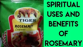 spiritual and magical ways to use rosemary for prosperity u0026 love