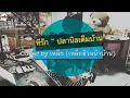 ที่รัก ปลานิลเต็มบ้าน Feat lazy loxy - Cover by เหล็ก (เหล็กชิวหน้าบ้าน)