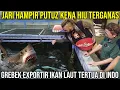 Download Lagu JARI HAMPIR PUTUZ KENA HIU TERGANAS GREBEK EXPORTIR IKAN LAUT TERTUA DI INDO | CBA AQUAMARINE