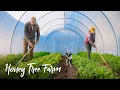 Couple sells EVERYTHING to start a THRIVING market garden in NC