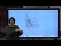 Clevertouch Training
