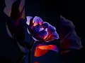 Free Tutorial Endless Blossom - Texturing and Shading with COPs and Karma