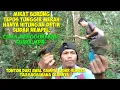 Download Lagu Mikat burung Tepus tunggir merah hanya hitungan detik sudah nempel, Hanya menggunakan suara MP3.