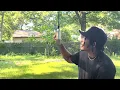 Official Hec - All Dz Chains (Gucci Mane Ft. Lil Baby Freestyle)