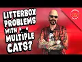 How Many Litter Boxes Do You Need For 2 or More Cats