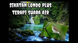 sikatan londo plus terapi suara air rileksasi