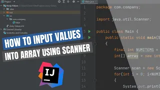 How to INPUT VALUES into an ARRAY using the SCANNER CLASS in Java