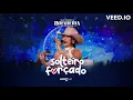 Solteiro Forçado (Ao Vivo) - Ana Castela