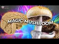 What Psilocybin Does to Your Brain Can It Improve Mental Health