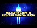 Download Lagu Heal Body In 2 Minutes | Reduce Inflammation In Body | Nerve And Cell Regeneration | 528hz Miracle