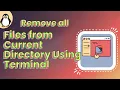 How Can I Remove All Files From Current Directory Using Terminal GUIDE