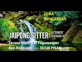 Download Lagu jaipong siter musik instrumen sunda musik instrumental klasik