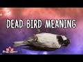 Dead Bird Meaning Is It Good or Bad Luck