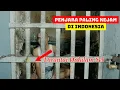 Download Lagu Dirantai Didalam Sel.!!! 3 Penjara paling Berb4hay4 dan Kej4m di Indonesia #shtube