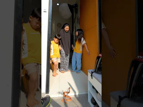 kaget ada ular #shorts #viral #comedy