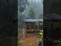 Download Lagu Pondok ku Di Tengah Hutan Di Guyur Hujan Deras Dan Guludug