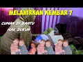 Download Lagu melahirkan bayi kembar 7 di bantu Mak dukun langsung pingsan