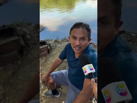 Banhar no lago é bom demaize