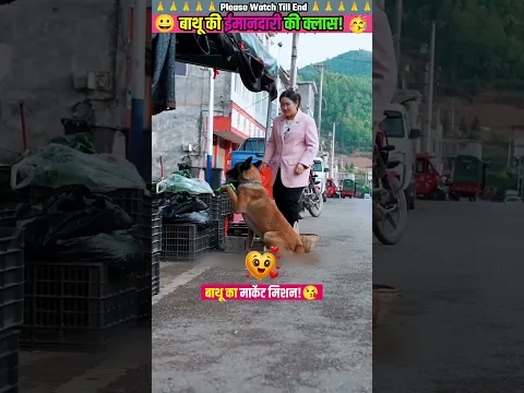 बाथू की ईमानदारी की क्लास 😊 #animal #animalrescue #animallover #rescue #dog