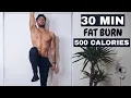 30 Min FULL FAT BURN No Equipment Rowan Row