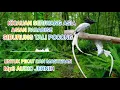Download Lagu PANCINGAN PIKAT SERIWANG ASIA//TALI POCONG GACOR MP3 SUARA JERNIH